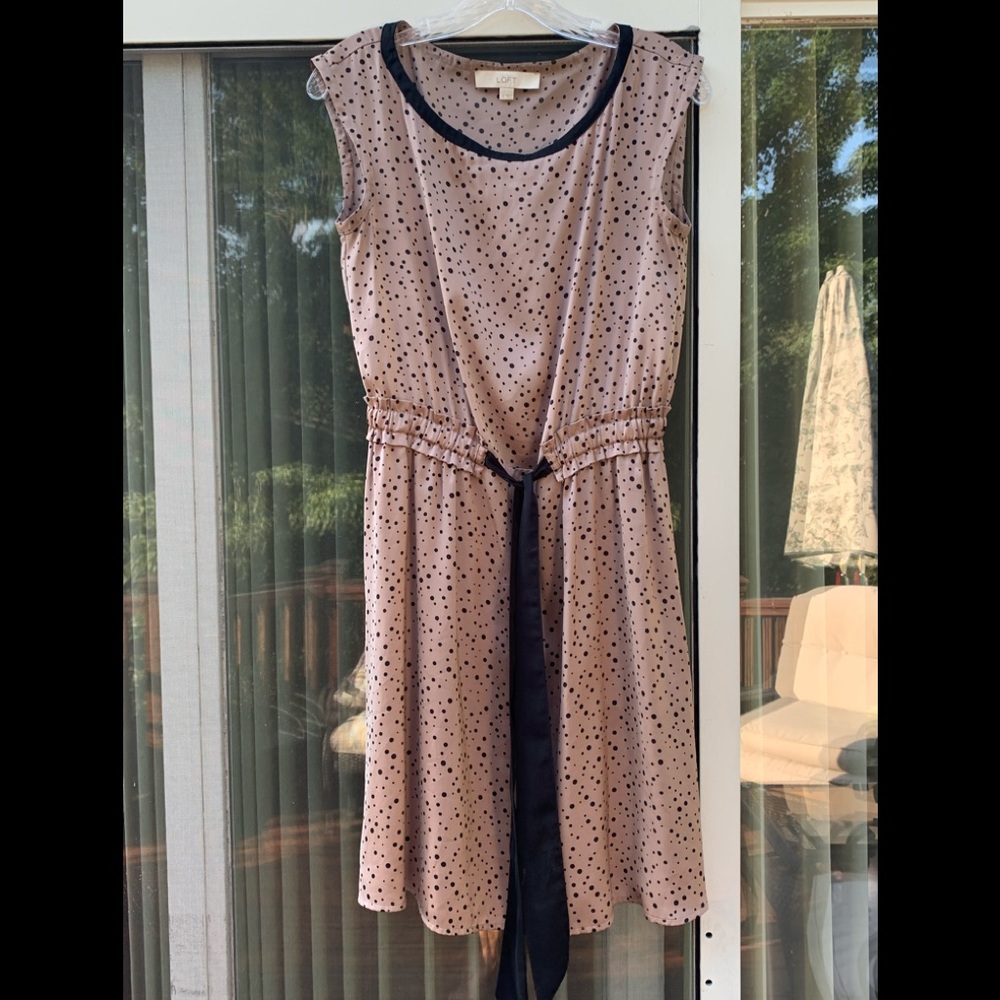 LOFT  Dress